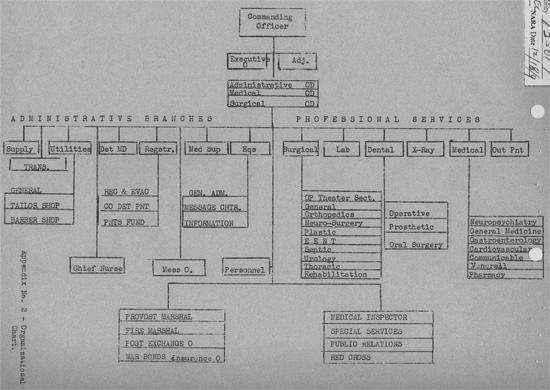 General Hospital Organizational Chart