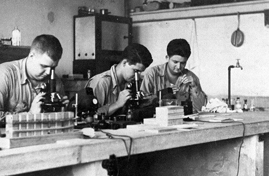 Three Technicians examine patients' blood samples in the Laboratory of the 45th General Hospital.