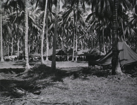 General view of the 54th Evacuation Hospital. Photograph taken during the unit's time in Papua New Guinea.